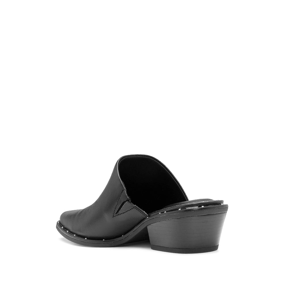 SOCAS ALEXA