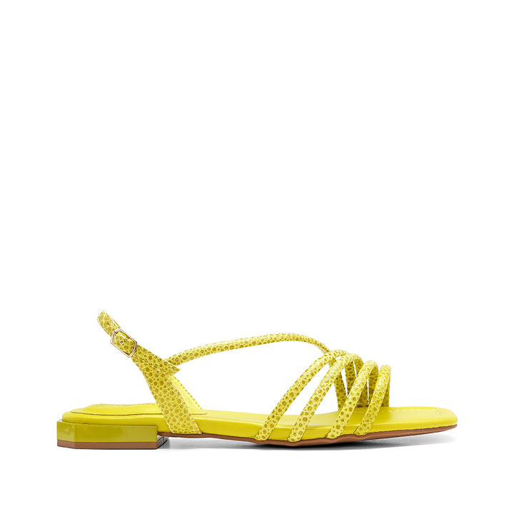 SANDÁLIAS FEMININAS SALTO RASO