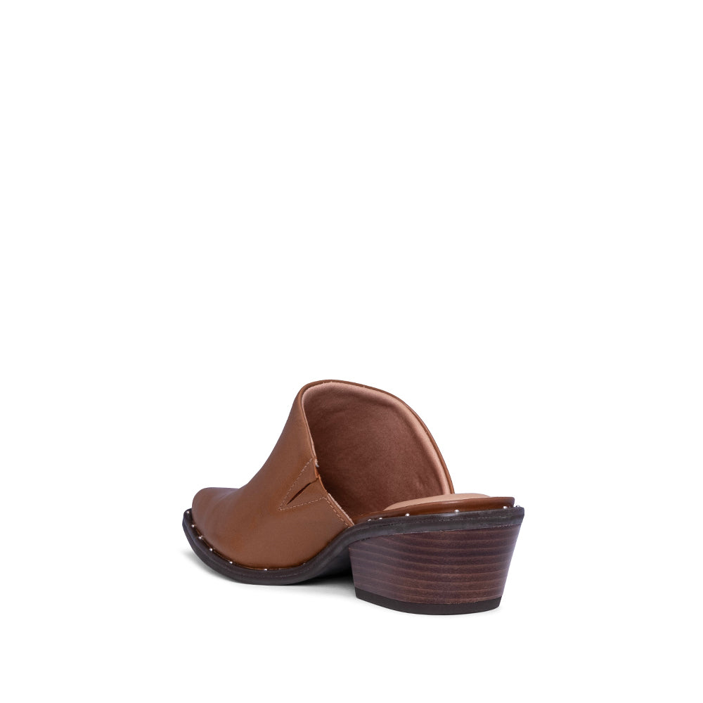 SOCAS ALEXA
